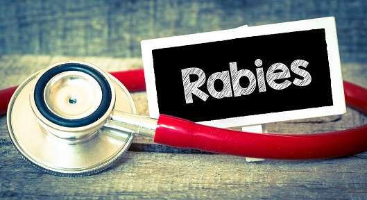 Rabies