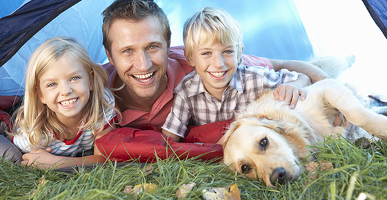 Camping with Pets